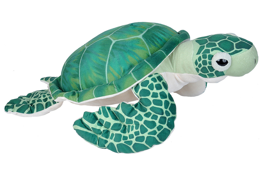 turtle stuffie