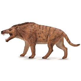 Andrewsarchus CollectA Model
